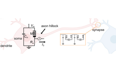 New paper in Physical Review Applied selected for the Physics-Inspired Computing Collection