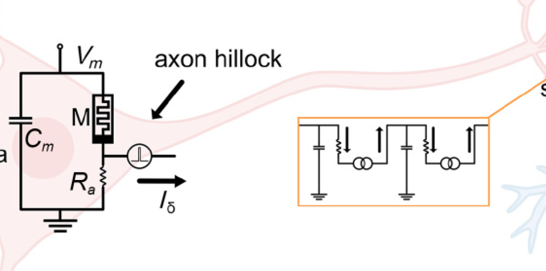 New paper in Physical Review Applied selected for the Physics-Inspired Computing Collection