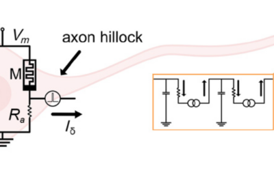 New paper in Physical Review Applied selected for the Physics-Inspired Computing Collection